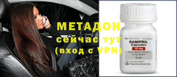 стафф Богданович