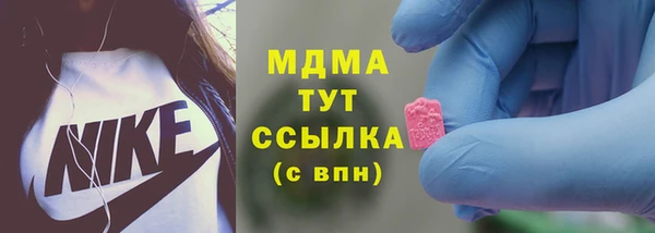 стафф Богданович