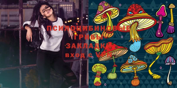 мескалин Богородицк