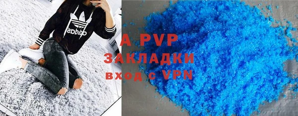 стафф Богданович