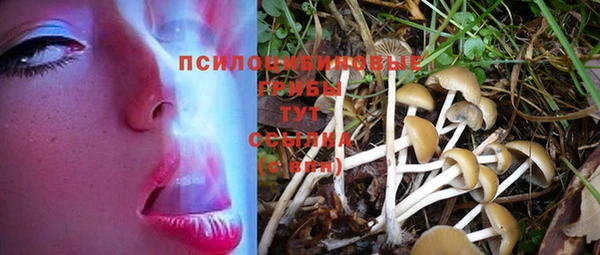 стафф Богданович