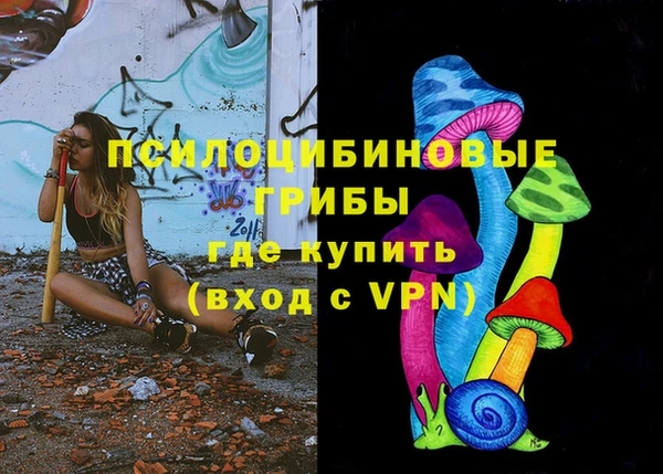 стафф Богданович