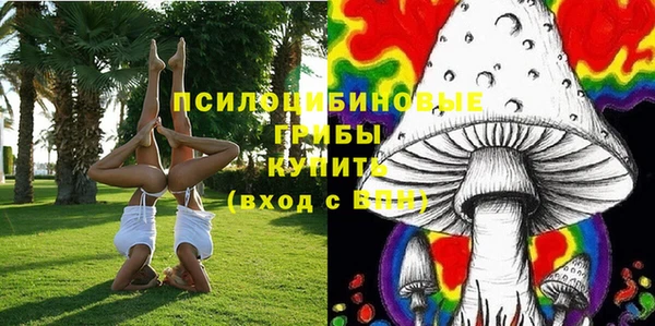 стафф Богданович