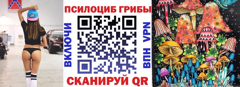 Псилоцибиновые грибы Psilocybine cubensis  Волоколамск 
